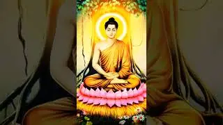 Nam M&ocirc; Bổn Sư Th&iacute;ch Ca M&acirc;u Ni Phật || Nhạc Niệm Phật 🙏🙏🙏