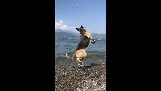 Shock compilation!