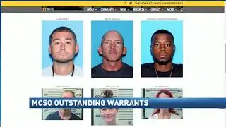 Mobile Co Sheriffs release 'glamour shots' of felony warrant subjects. NBC 15