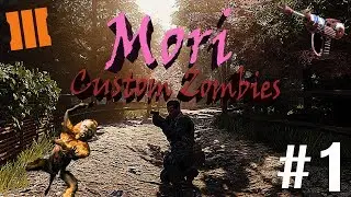 BLACK OPS 3: MORI - Custom Zombies