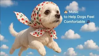 🐶Dog Music 🎵Music Dogs Love 🐶Separation Anxiety Treatment Music 🐶 Music to Make Dogs Comfortable🎵