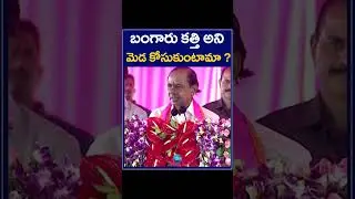 CM KCR Speech in Public Meeting at Jangaon | బంగారు కత్తి అని మెడ కోసుకుంటామా | ZEE Telugu News