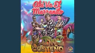 Coste&ntilde;ito Soy