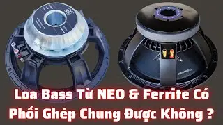 Loa Bass Từ NEO và Từ Ferrite Có Phối Ghép Chung Được Không 03/02/2023
