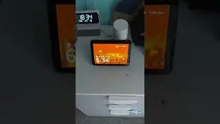 Alexa not connected to internet