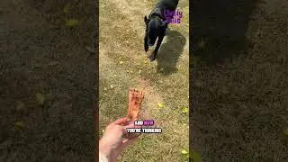 The Viral Dog Chew TikTok Keeps Talking About 🍖🐶 | Liver-Coated Shin Bone!