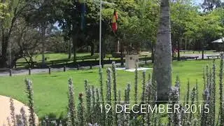 Indigenous Light Horse Memorial