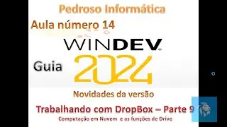 Guia Windev 24 - aula 14 - Fun&ccedil;&otilde;es dropbox da vers&atilde;o 2024 - Passando par&acirc;metros.