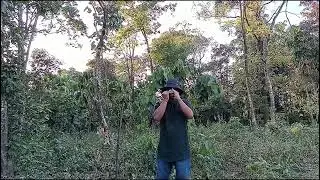 Bed of roses ( Bon Jovi) Harmonica  Cover