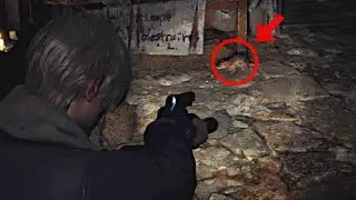 Can You Kill The Rats In Resident Evil 4 Remake?!