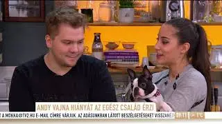 Visv&aacute;der Tam&aacute;s: Andy Vajna ritk&aacute;n d&iacute;cs&eacute;rt meg