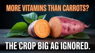 More Vitamins That Apples And Carrots. Keeps For Months. But Big AG Tried To Erase It.
