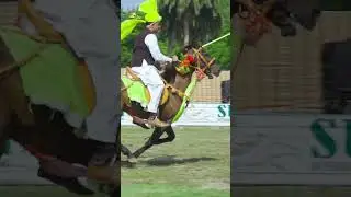 Lahore Tent Pegging Championship 2024 || Desi Neza Baazi || Beautiful Horses Show