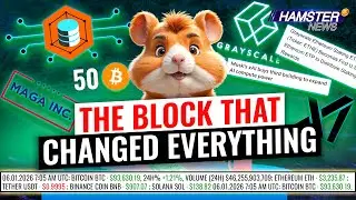17 лет Биткойна, начало выплат ETH ETF, Маск расширяет инфраструктуру xAI ⚡️ Hamster News