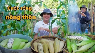 Thưởng Thức Bắp Luộc & Chè Bắp Dân Dã Ngọt Bùi | Cuộc Sống Nông Thôn