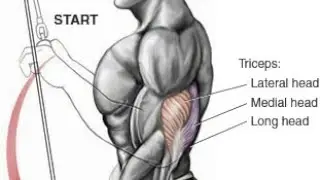 TRICEP WORKOUT
