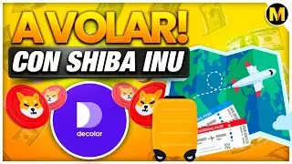 ¡BOMBAZO! La PRIMER Linea Aerea de LATINOAMERICA Que Acepta SHIBA INU!!! 💣