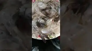 Sape cakap cikgu x pandai masak