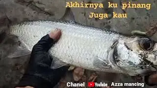 tips dan tehnik mancing tarpon #castingtarpon#ultralightcasting#azzamancing#
