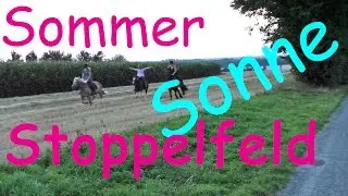 Sommer | Sonne | Stoppelfeld
