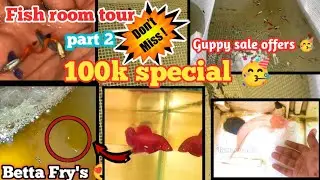 Guppy offer sale 🤩 My Fish room part 2 bettas World in Tamil #shorts #trending #guppy