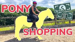 PONY SHOPPING ~ What we do when buying a new horse or pony & meet my NEW PONY!