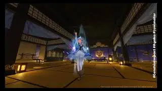 AYAKA SKIN Showcase - GENSHIN IMPACT LUNIMATER