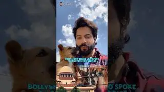 Bollywood Celeb Who Raised Their Voice For Stray Dogs In Delhi #bollywood #varundhawan #janhvikapoor