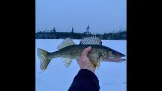 Gunflint Trail Winter Update! First big snowstorm, some bad slush, and more fishing for walleyes.