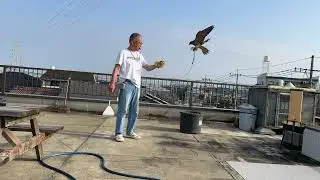 日曜日の朝のヌーのトレーニングIMG 3234