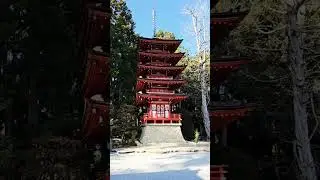 Japanese Tea Garden #towntraveller #japaneseteagarden #sanfrancisco #goldengatepark #sf #japanese