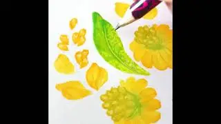 Goldenrod. Solidago gigantea.  Draw flowers. Botanical illustration.