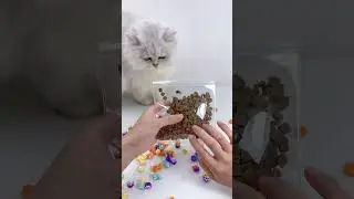 FUFUSQUISHY ASMR 🐱🐱 Cat