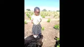 kilimo kwanza Tanzania