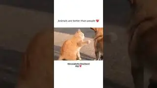 manabejuban hai# loyal animals @Animallover-mr3lp@xx_akshay_roy5333 #love #animals  @AaronsAnimals