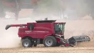 Soybean Harvest 2020 | Case IH 7010 Harvesting Soybeans | Harvest 2020