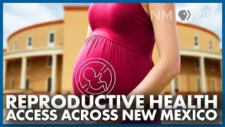 Reproductive Healthcare Access Across New Mexico | The Line/Your NM Government