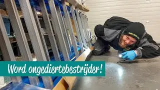 Word ongediertebestrijder bij Traas Nederland: ontdek jouw nieuwe baan!