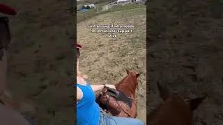 Emotional Support Horse #horsegirl #equestrian