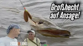 Mission Brassenfresser, Großhecht auf Ansage