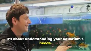 Mastering DIY Aquarium Equipment: Niche Hacks! #diyaquarium  #AquariumDIY #fishtanktips