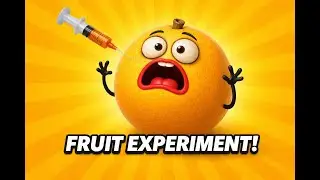 Tiny Fruit World 🍊 | Happy & Silly Cartoons