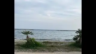 Waves Harmony