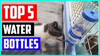 Top 5 Best Rabbit Water Bottles [ Top 5 Picks ]