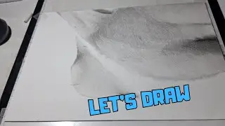 On dessine ensemble | We draw together &ndash; Relaxing Art (No Talking)