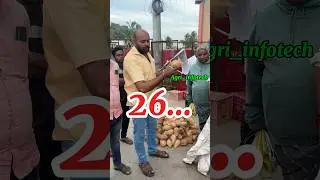 Andhra Kuppam coconut 🥥🌴 price #coconut #coconut price