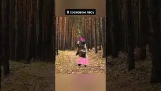 В сосновом лесу #медведь #bear #meme #рекомендации #меллстрой