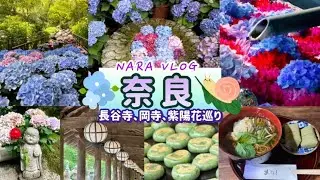 奈良 | 長谷寺と岡寺(花手水) 紫陽花巡り💠 | 長谷寺グルメ【旅Vlog】2022