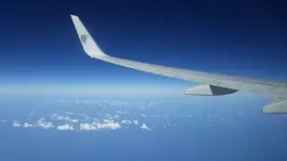 Tripreport for egyptair from Cairo to Abu Dhbai