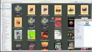 Añadir libros electrónicos a nuestro iPad